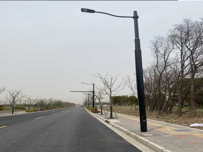 瑞金市上海综合杆 太阳能路灯工程